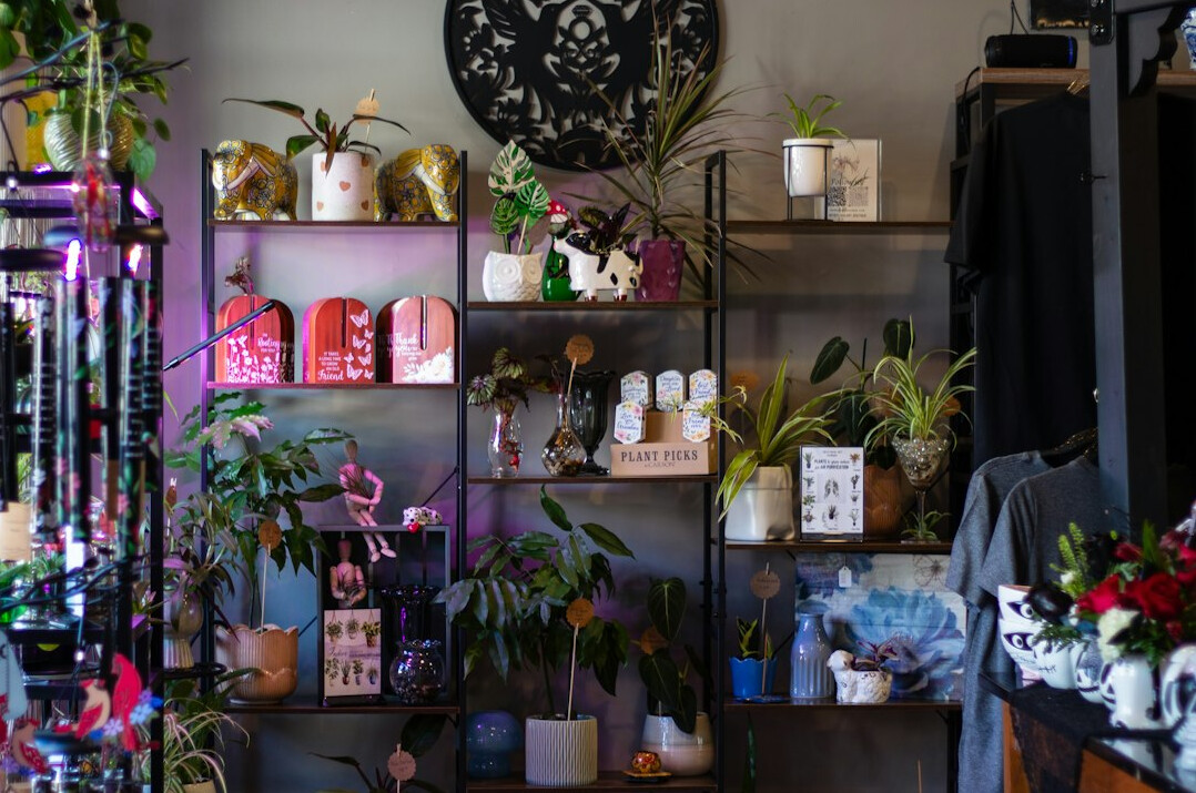 mystery shop interior